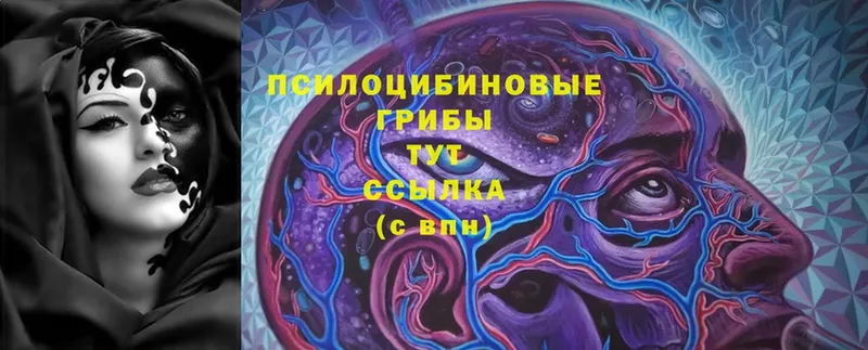 Купить наркотик аптеки Воткинск Кокаин  Амфетамин  МЕФ  Гашиш  Каннабис  Альфа ПВП 